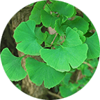 Отивин от чего помогает