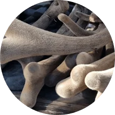 Чем отличается  Sinaden от других средств