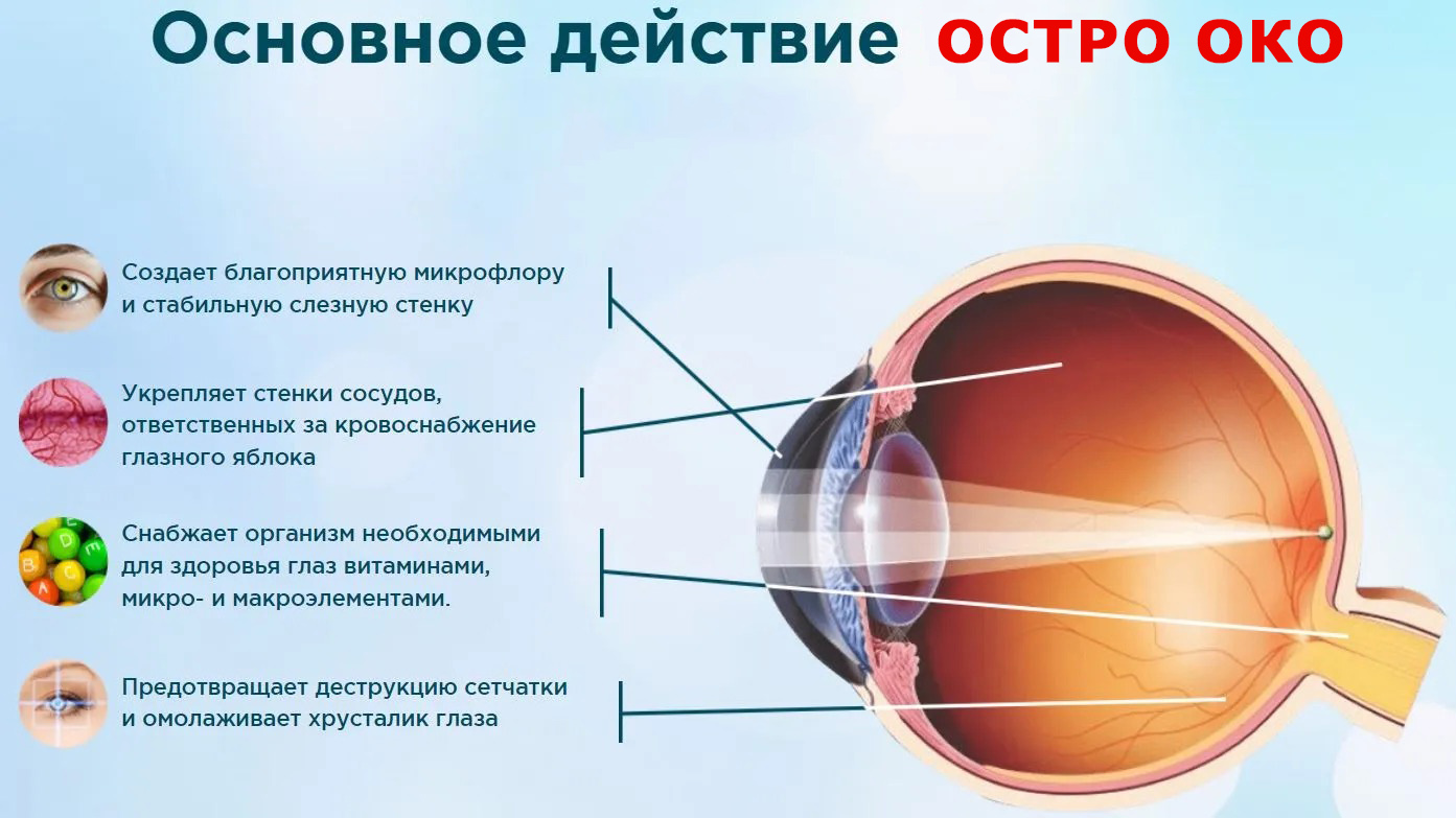 Действие Остро Око также направлено на поддержание нормальной функции сетчатки и других структур глаза